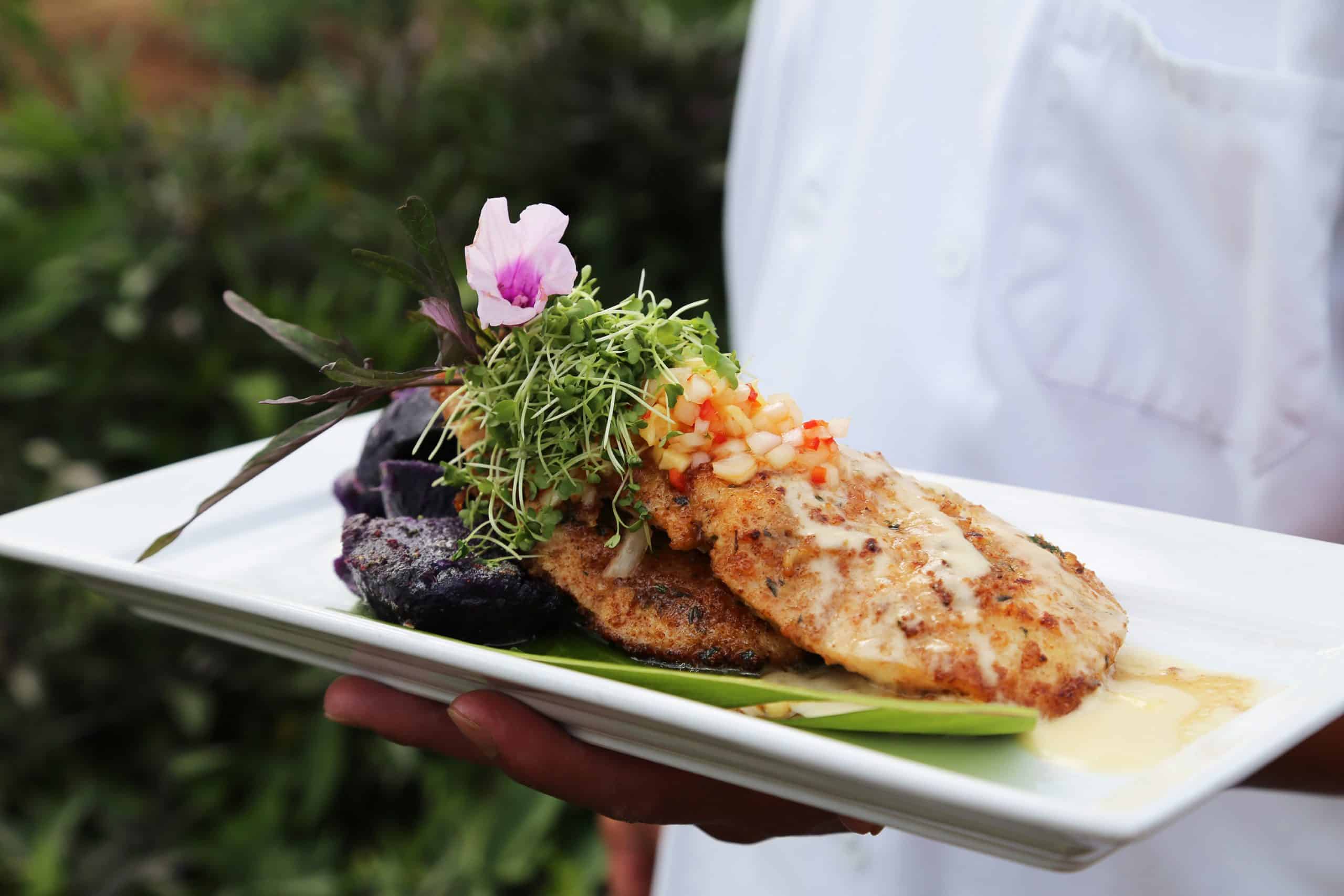 maui ocean center, things to do in maui, maui activities