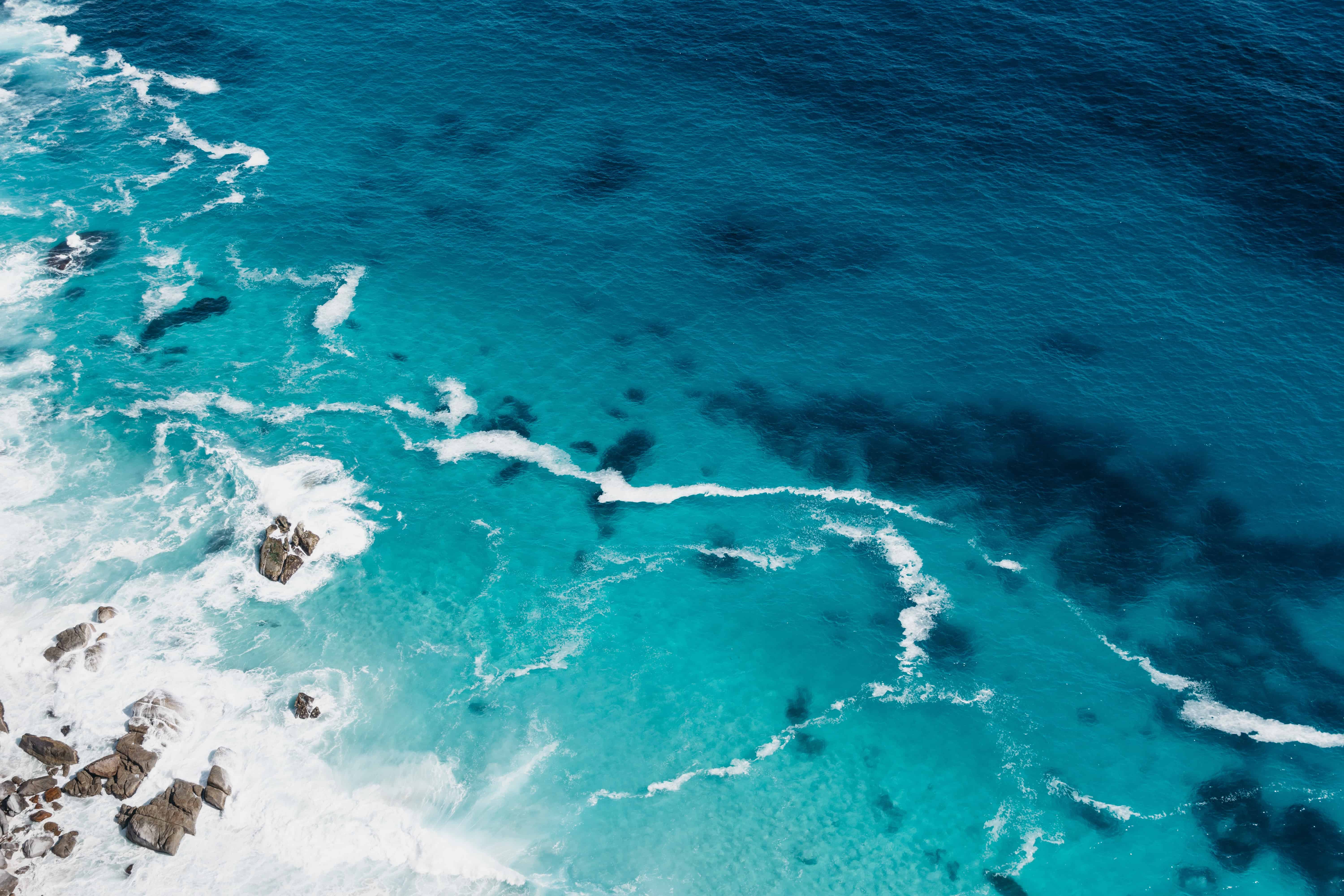 Maui ocean center discount coupons