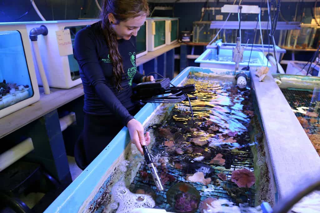 maui ocean center, things to do in maui, maui activities