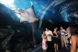 maui ocean center, things to do in maui, maui activities