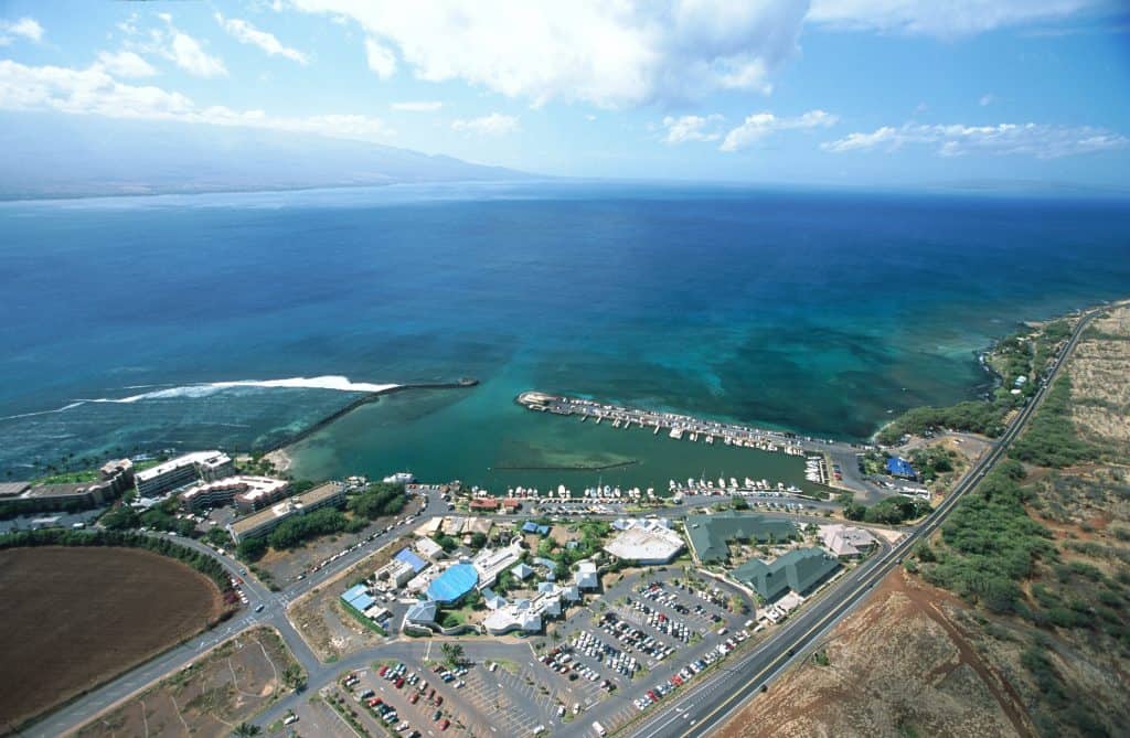 maui ocean center, things to do in maui, maui activities
