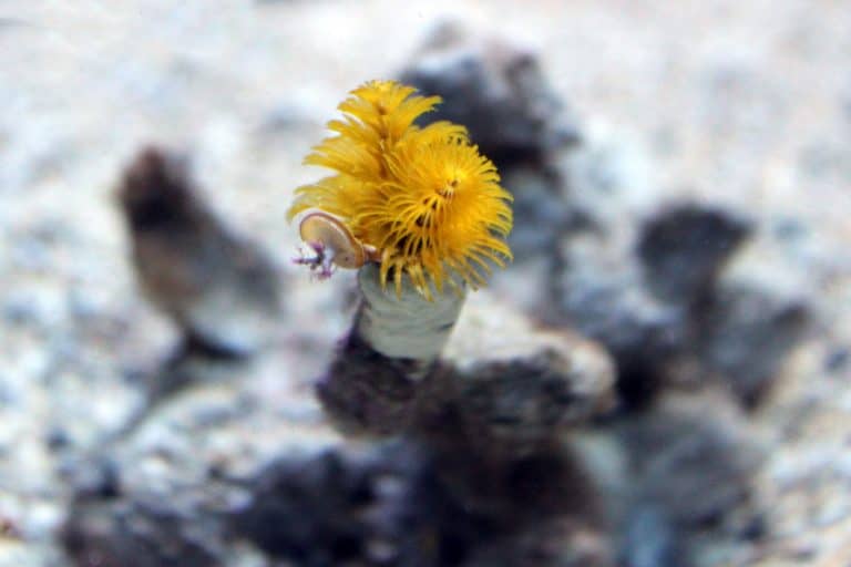 maui ocean center, things to do in maui, maui activities