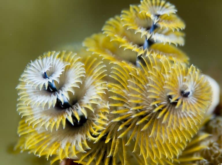maui ocean center, things to do in maui, maui activities