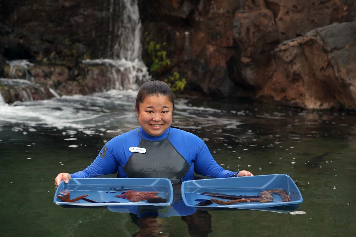 maui ocean center, things to do in maui, maui activities