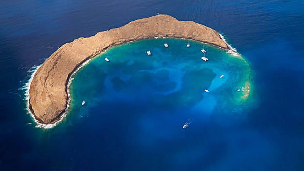 molokini-1-1024x576.jpg