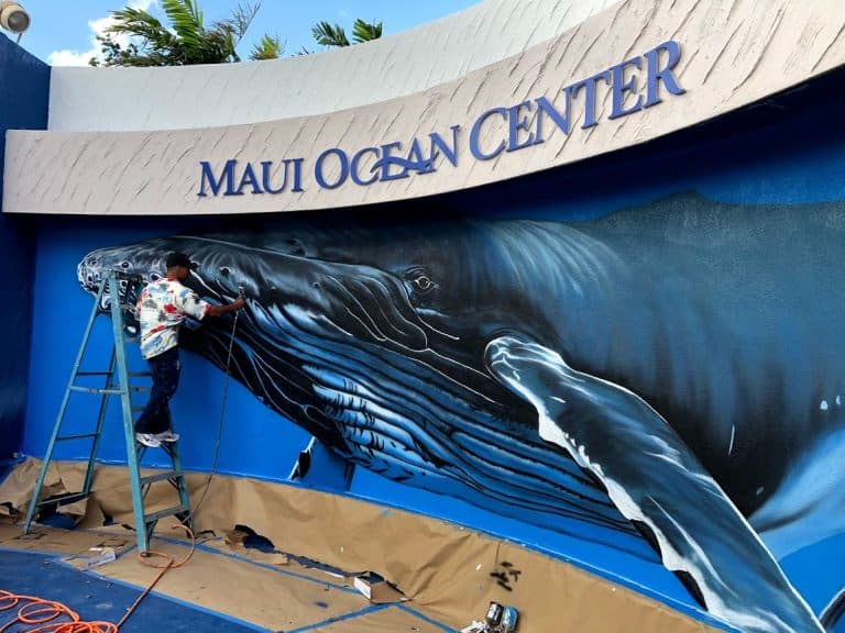 maui ocean center, things to do in maui, maui activities