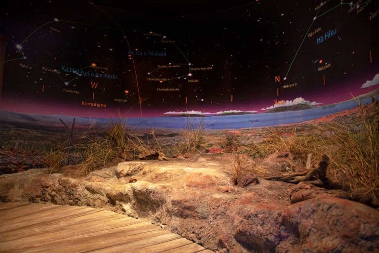 maui ocean center, things to do in maui, maui activities