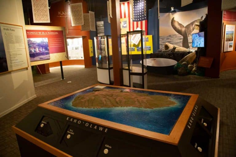 maui ocean center, things to do in maui, maui activities