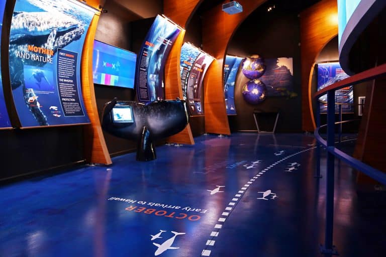 maui ocean center, things to do in maui, maui activities