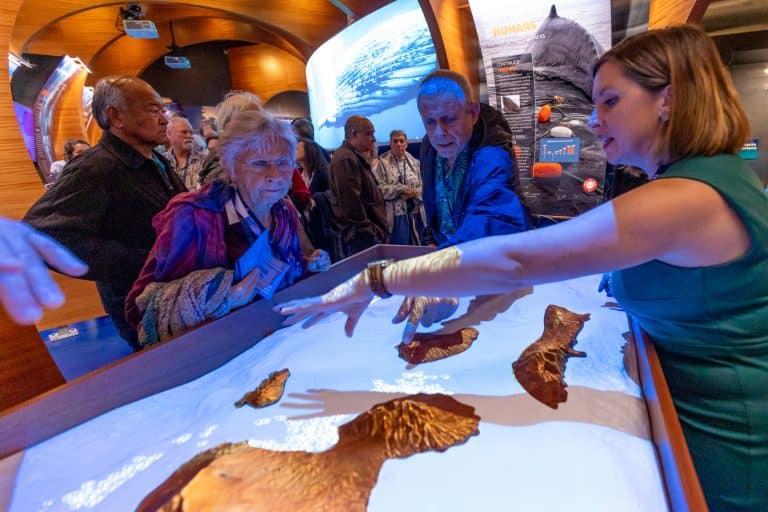 maui ocean center, things to do in maui, maui activities