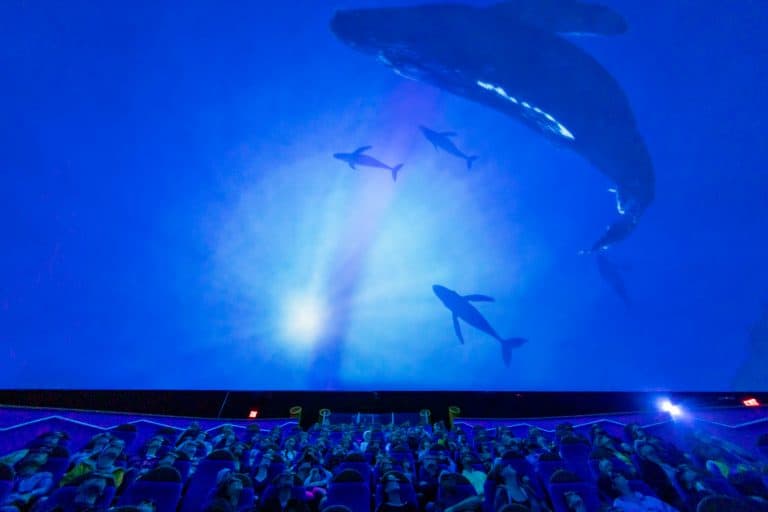 maui ocean center, things to do in maui, maui activities