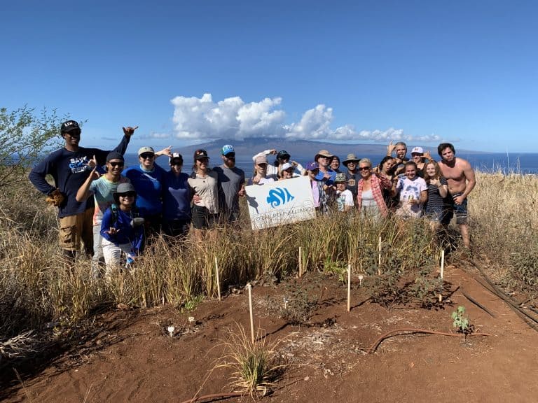 Coral Reef Alliance, Watershed Management