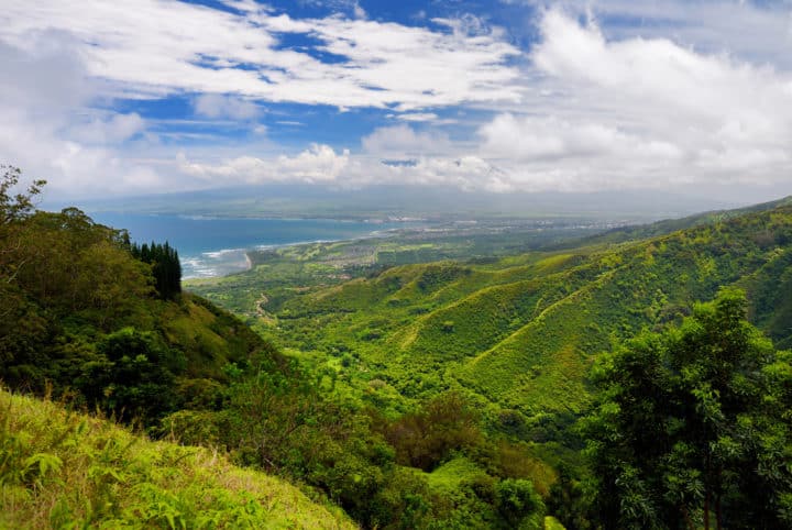 The central Maui