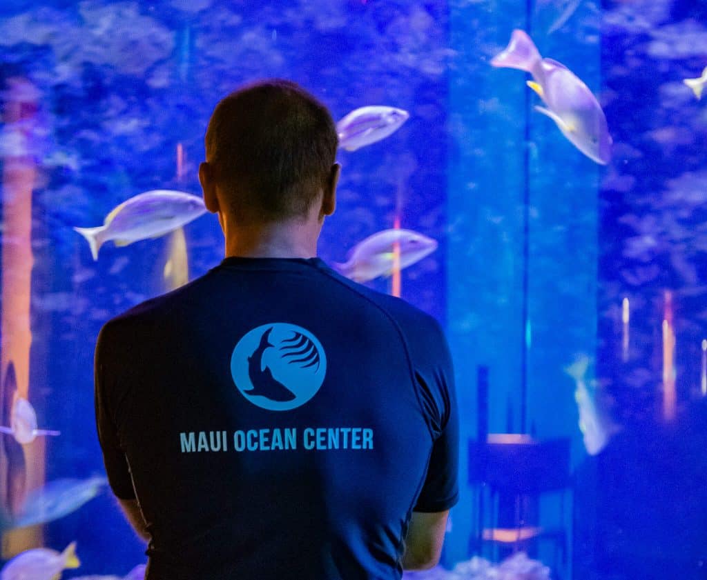 Harry of team Manō assesses exhibits for improvements