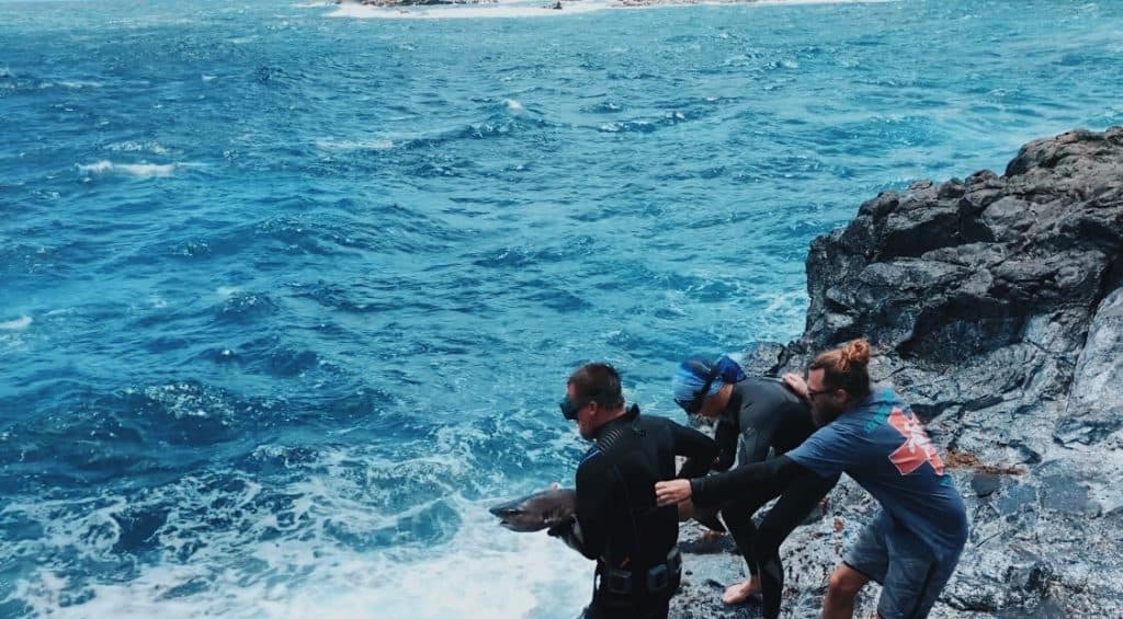 Jim and Paul are steadied by Tommy of MOC Marine Institute