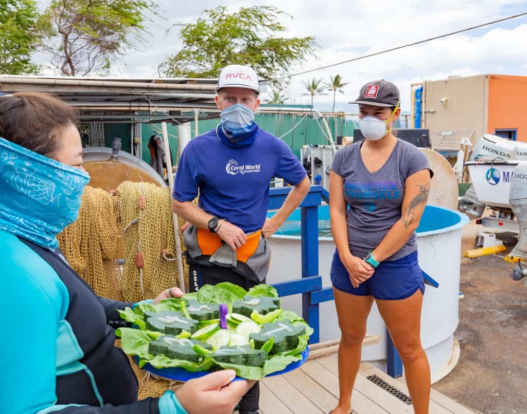 MOC celebrated the six honu behind the scenes