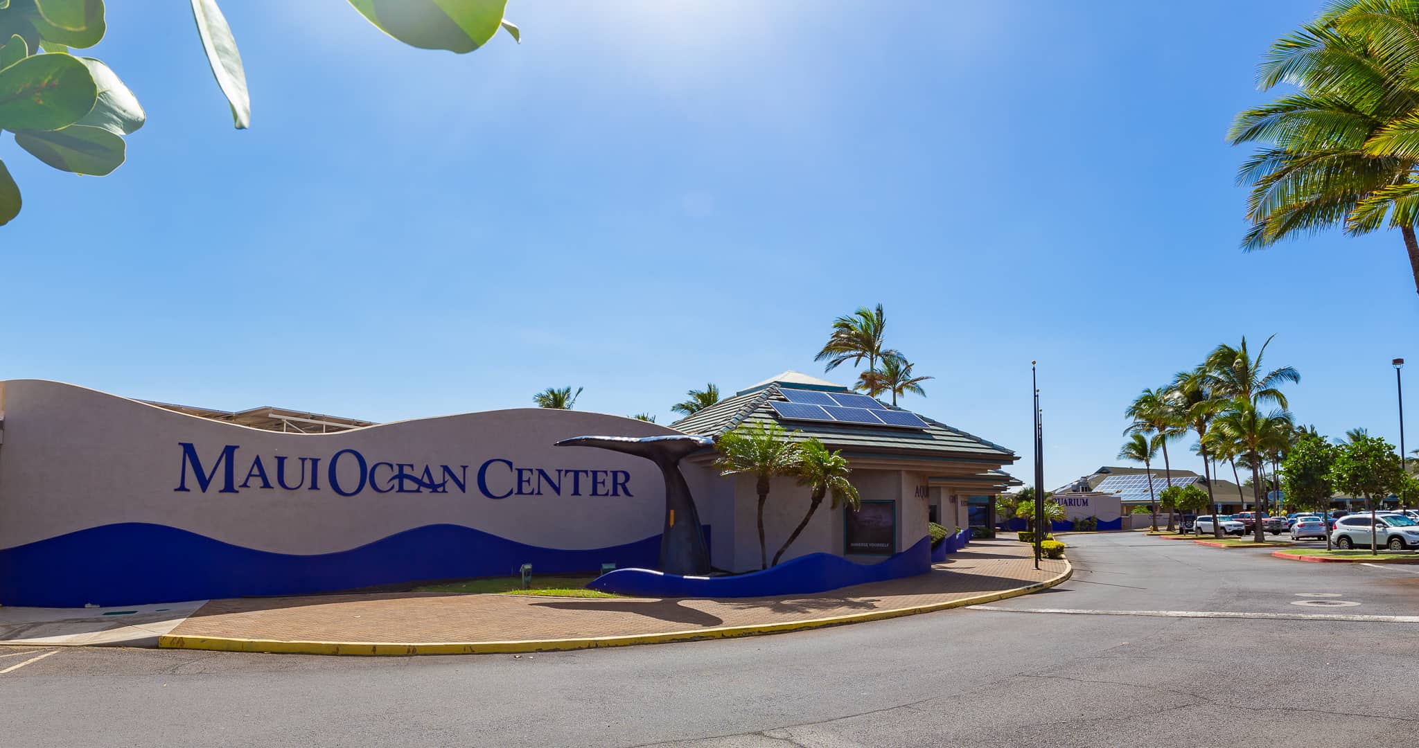 Maui Ocean Center Reopens With Health and WellBeing in