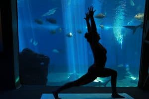 RELAX THIS HOLIDAY SEASON WITH YOGA IN MAUI OCEAN CENTER’S SERENE SETTING
