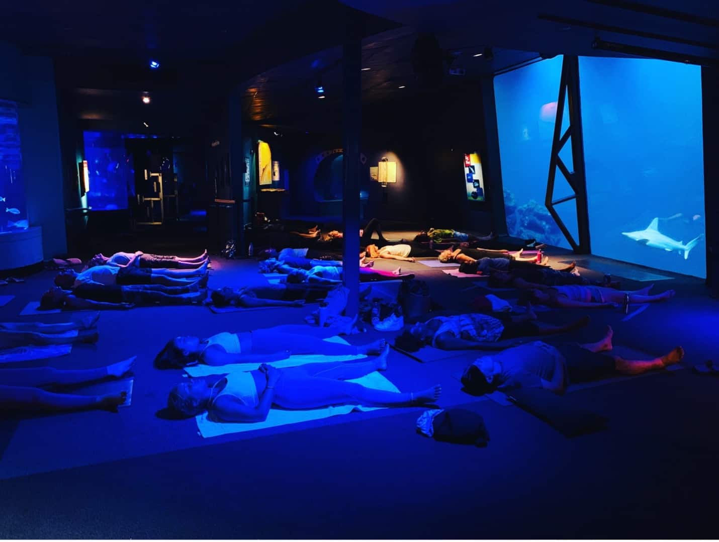 Photo of Yoga Classes at Maui Ocean Center