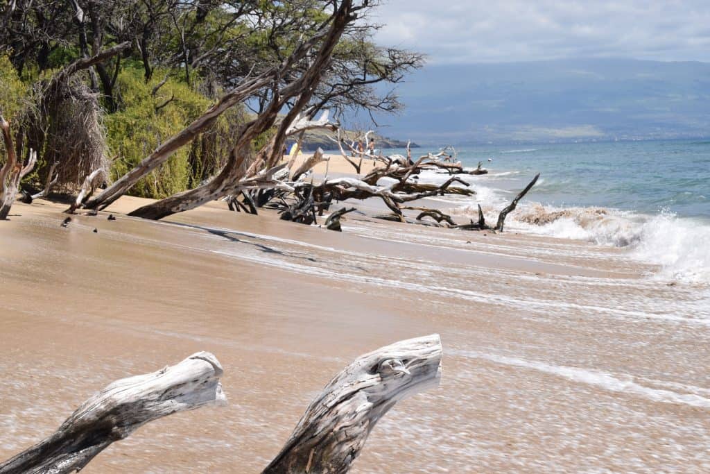 Maui Beach