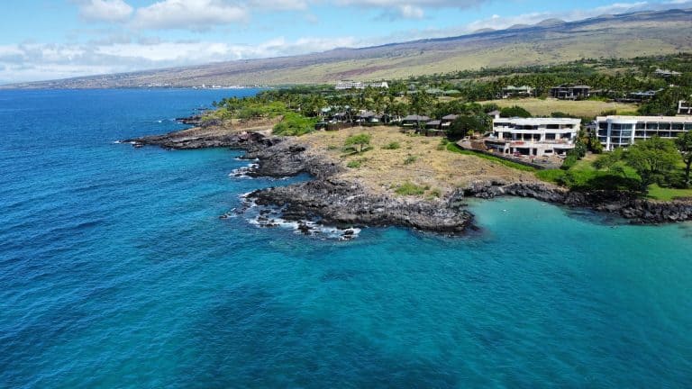 Embrace Adventure: Maui Ocean Center’s Guide to an Active Adventure in Paradise