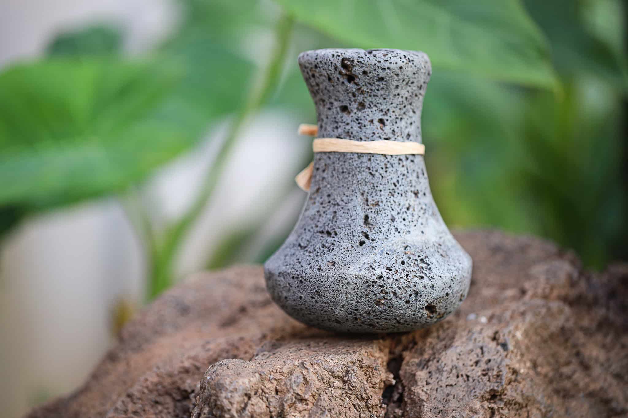 Poi Pounding Implements Canoe Plants | Maui Ocean Center