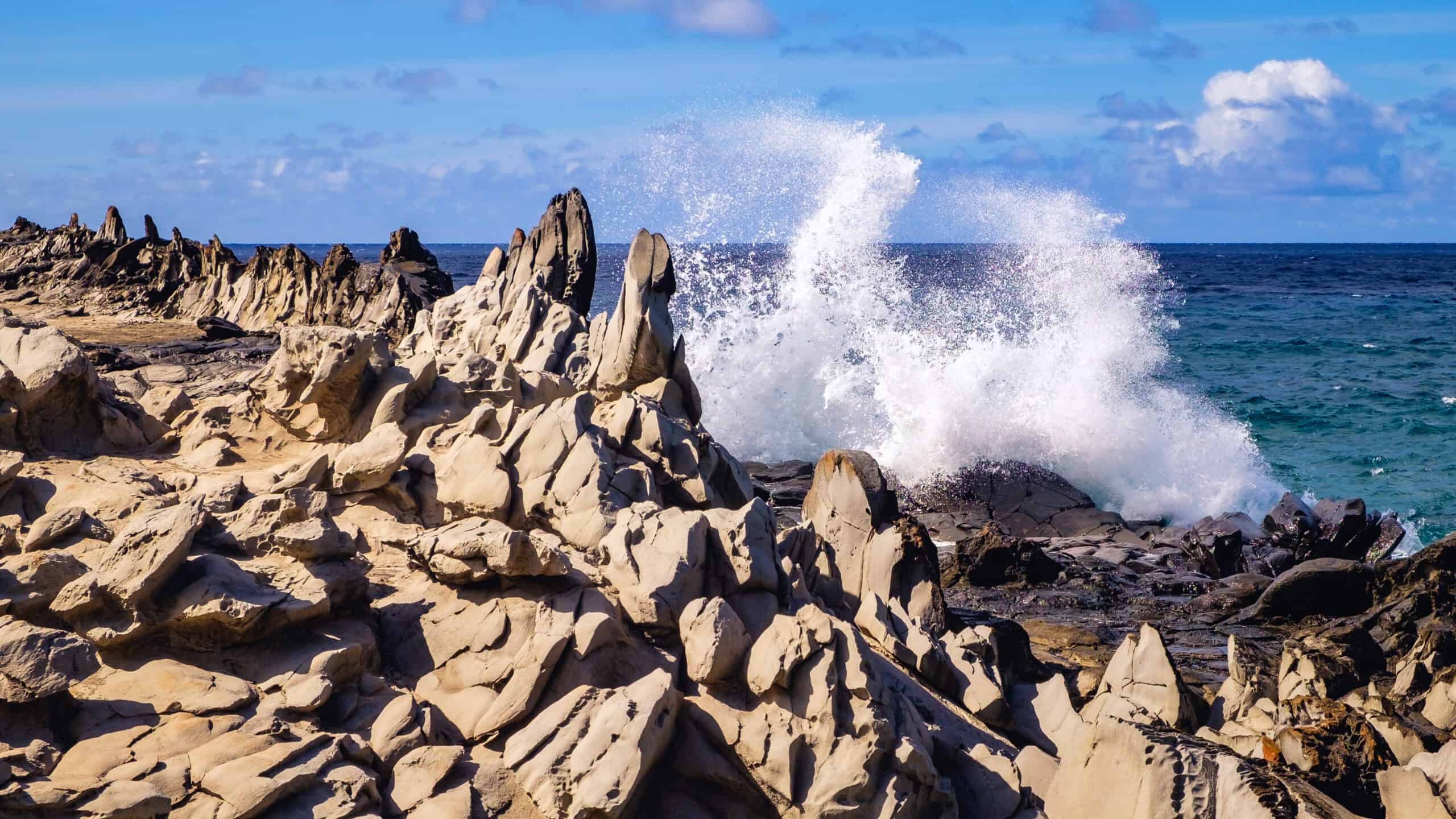 Dragon’s teeth maui