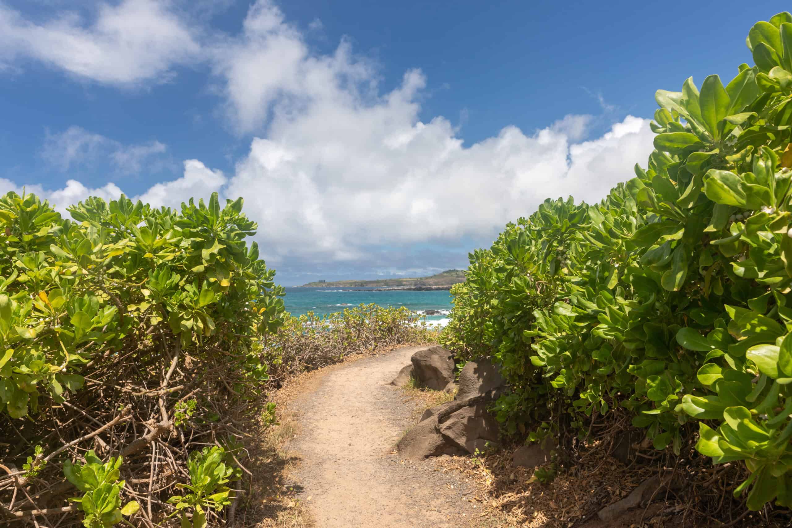 Best hiking trails in maui