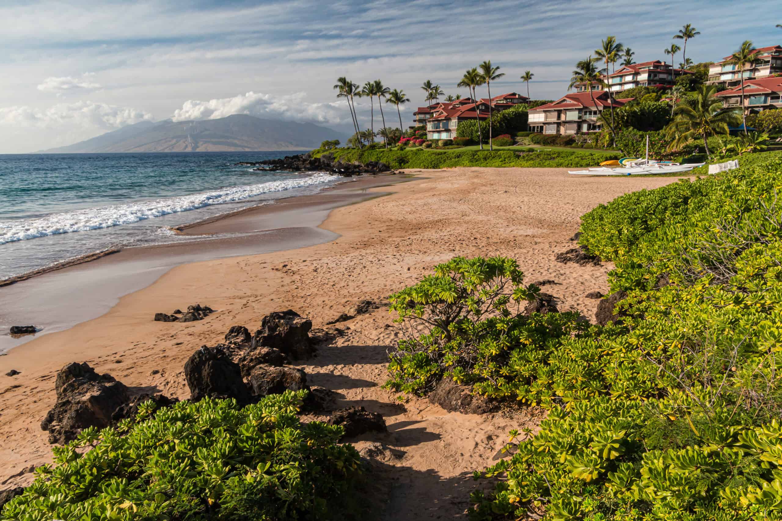 Polo beach maui