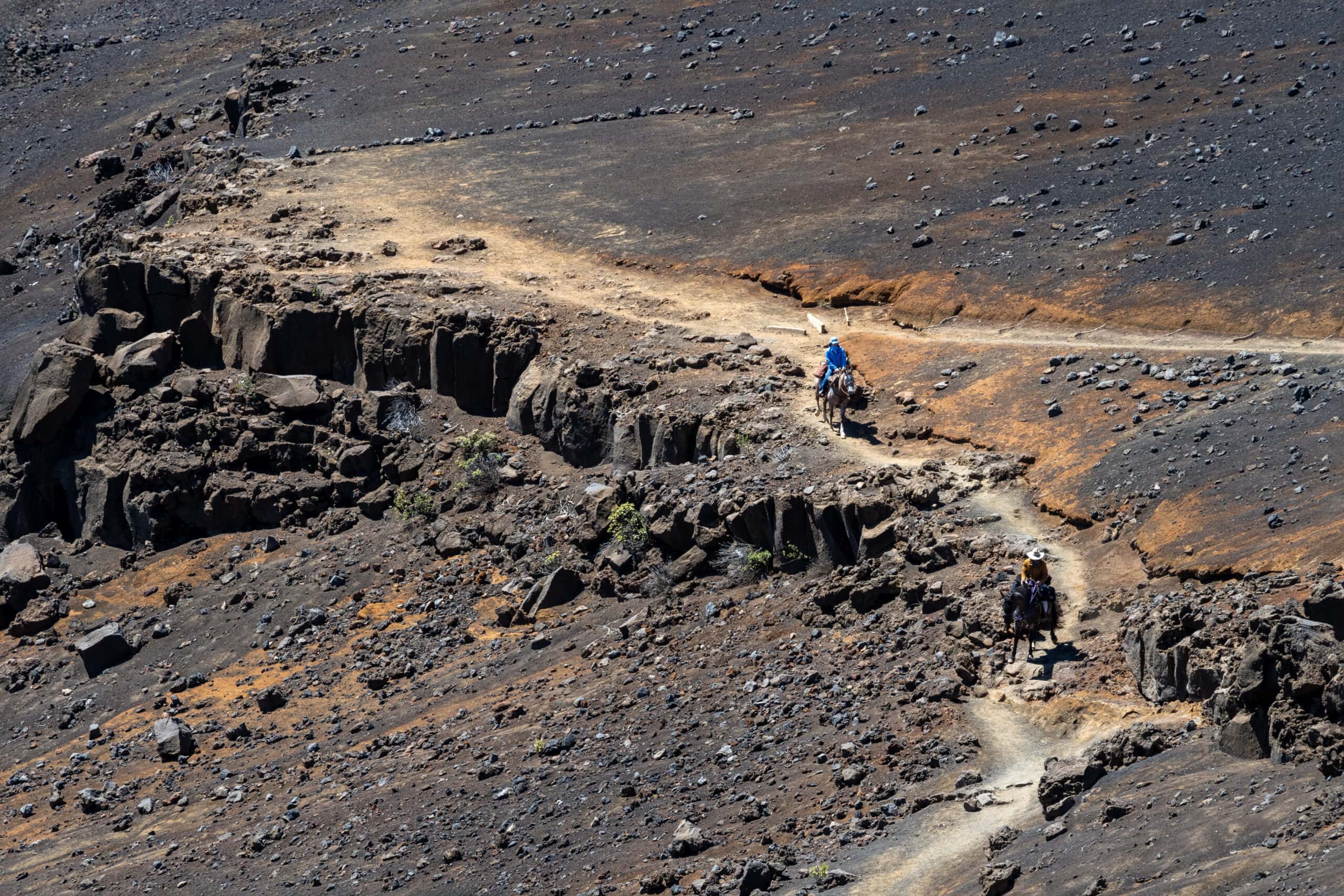 Horseback riding maui