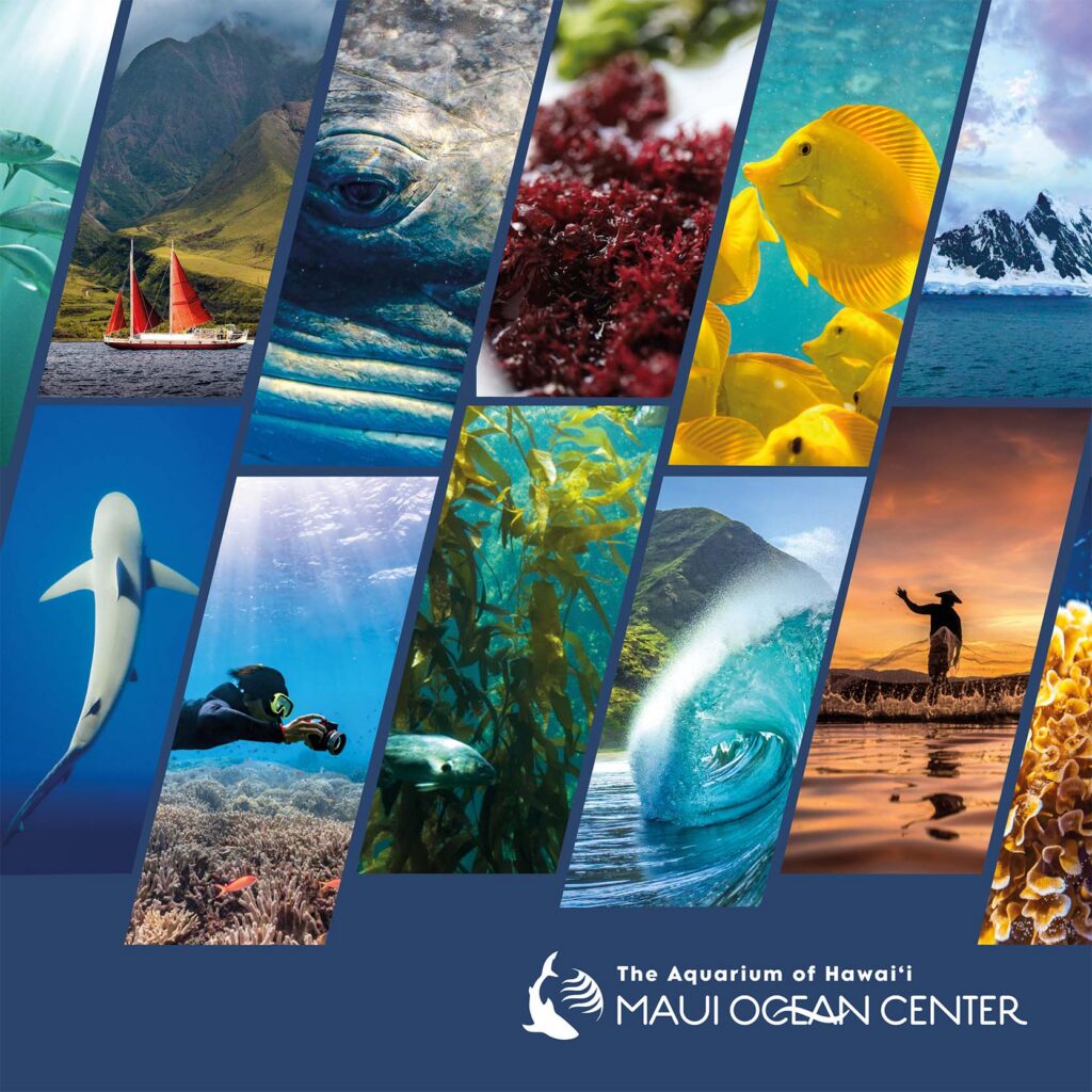 Maui Ocean Center World Ocean Day 2026