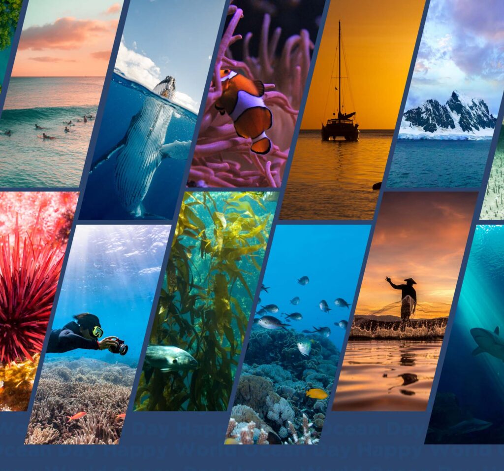 World Ocean Day at Maui Ocean Center 2026