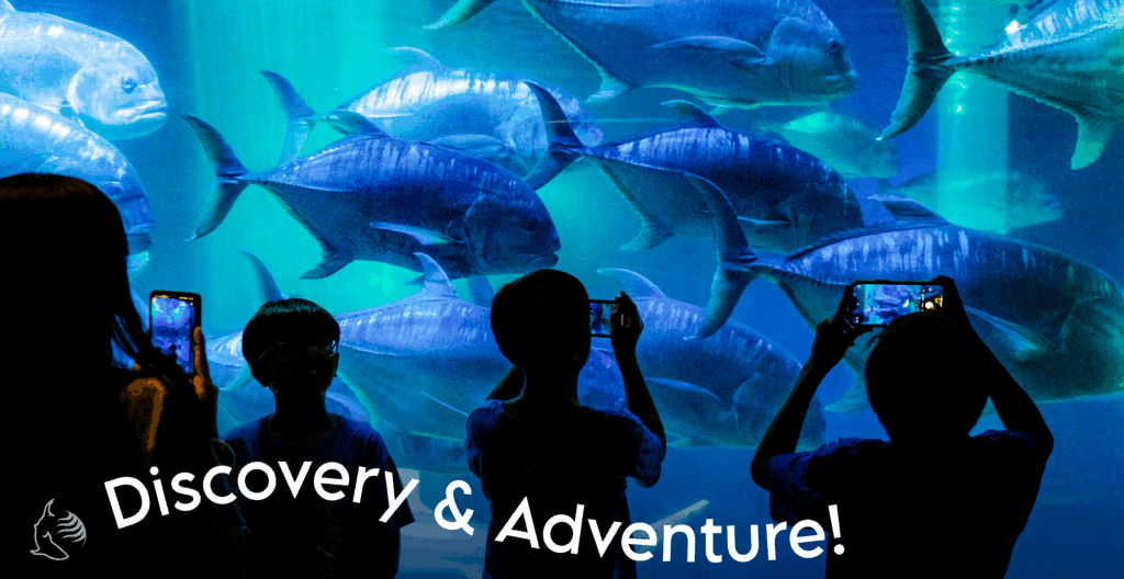 maui ocean center kids winter camp 2025