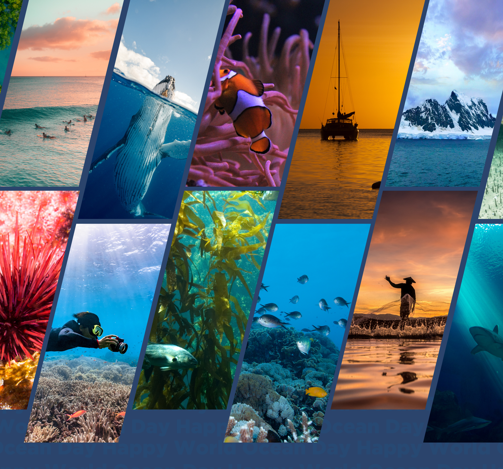 world ocean day 2026