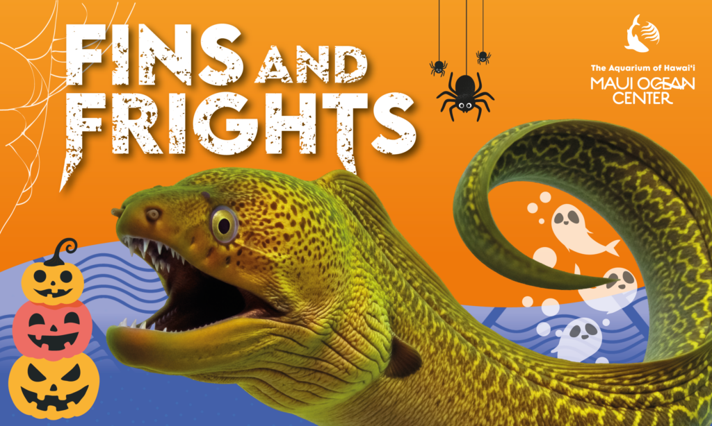 Fins and Frights Event at Maui Ocean Center