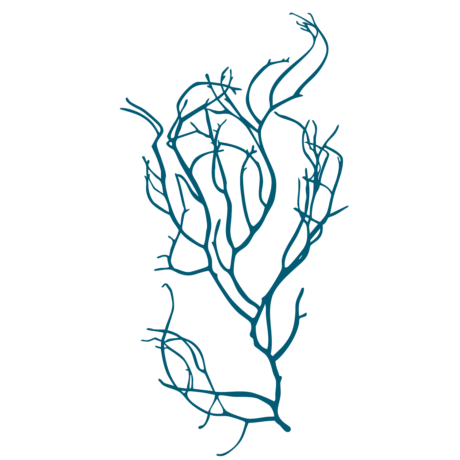 Limu Manauea - Ogo Icon