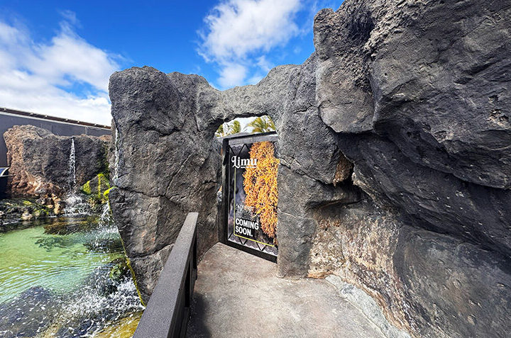 Maui Ocean Center Limu coming soon image
