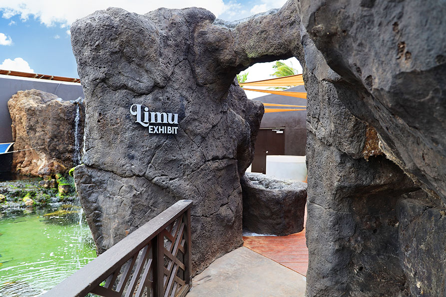Limu Exhibit