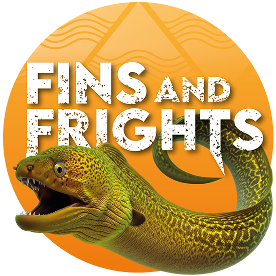 FinsFrights icon
