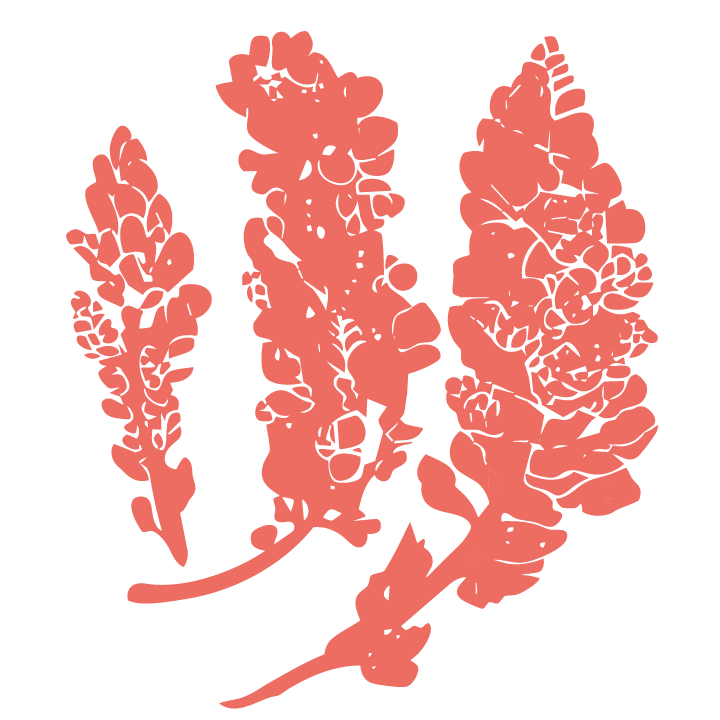 Kohu_Limu icon - coral