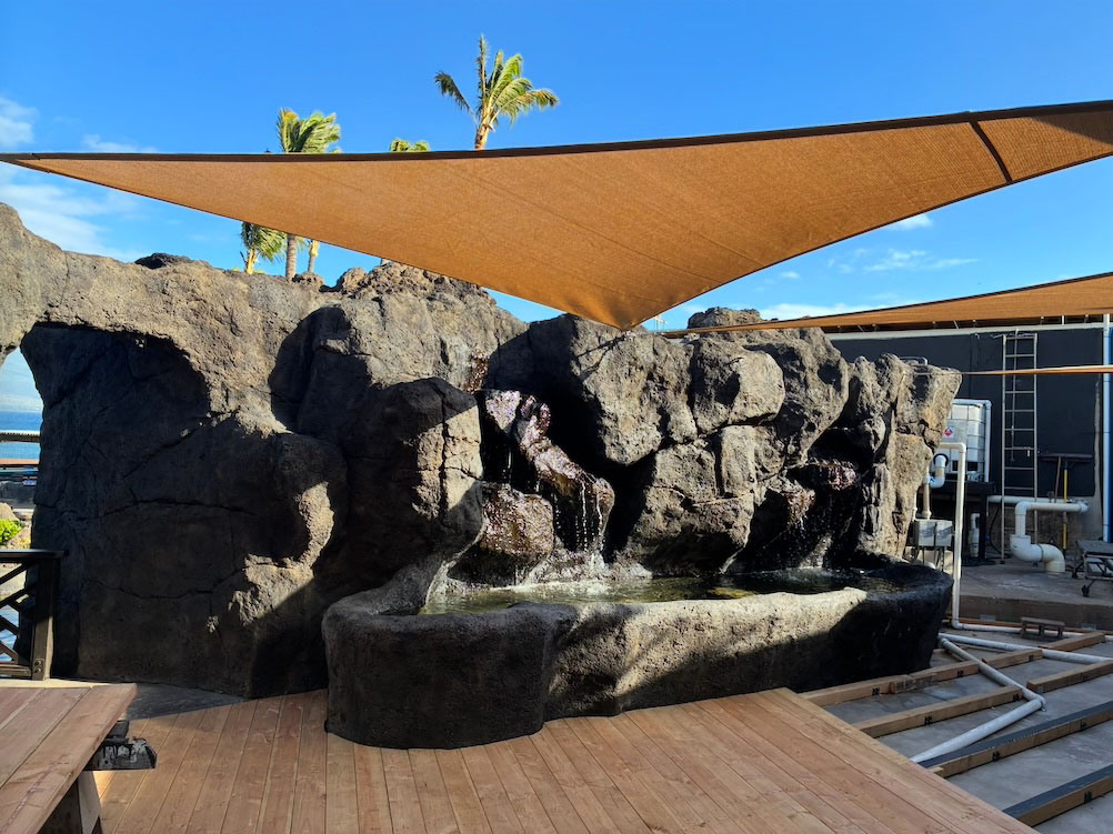 Limu Exhibit Construction at Maui Ocean Center