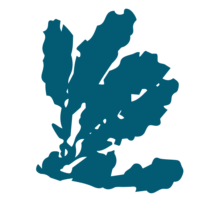 palahalaha limu