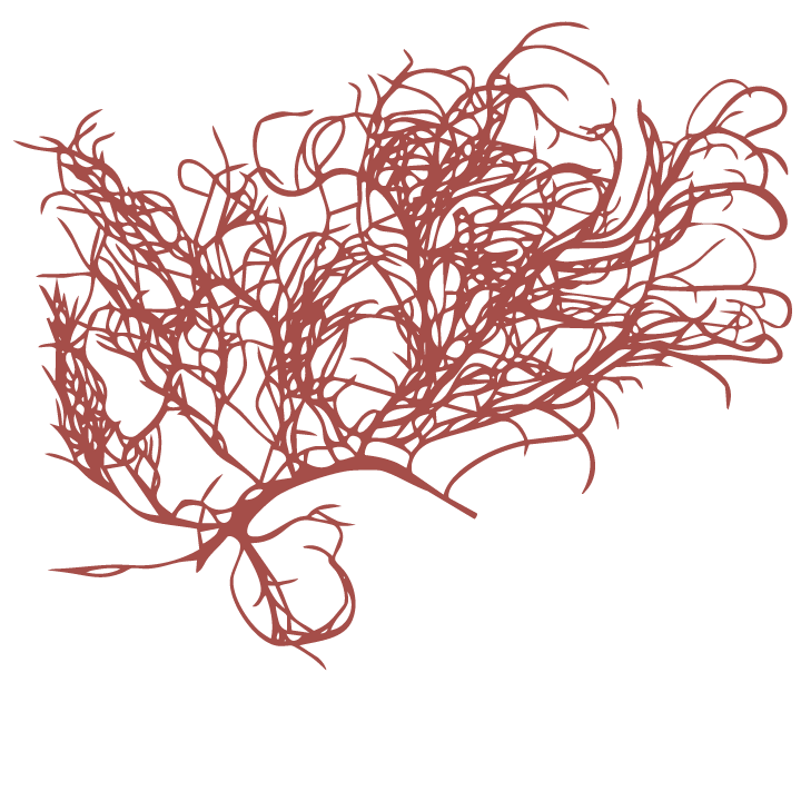 PAKELEAWA‘A-red icon