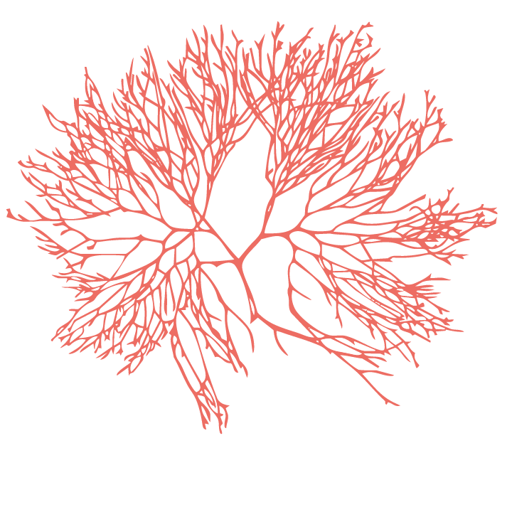 Limu Species MOC icon