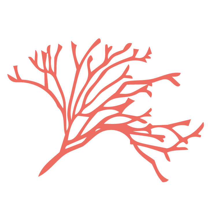 Manauea-OGO Limu Icon - coral