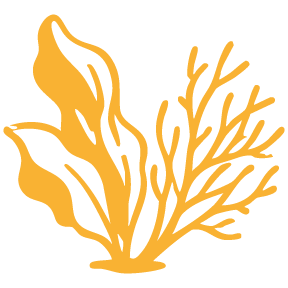 growth form icon-amber