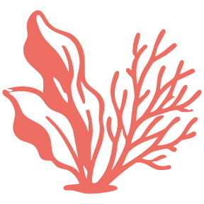 growth form icon-coral