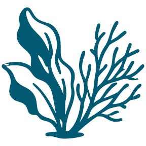 limu growth form icon