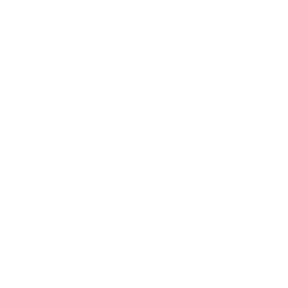 wave icon