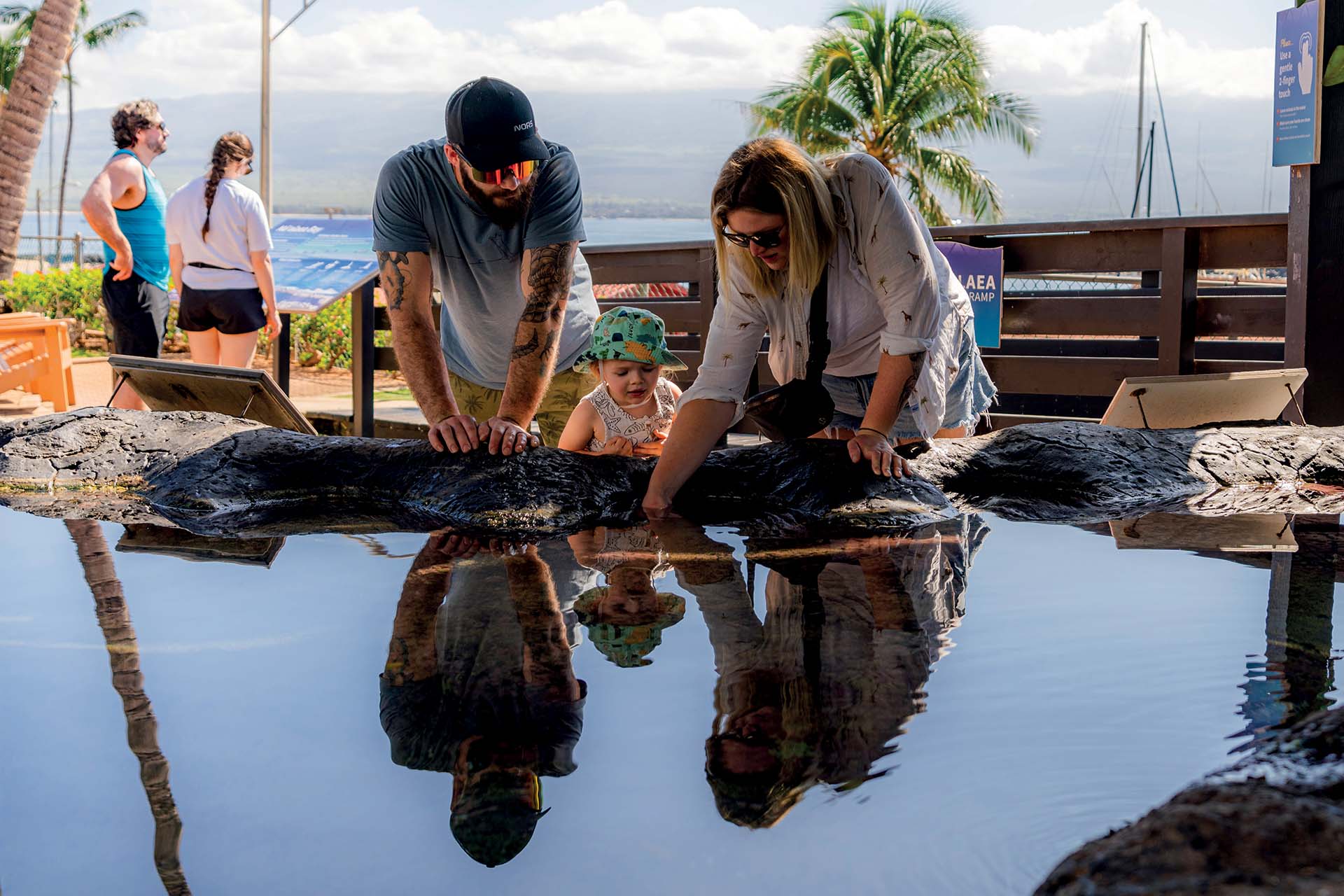 Family at the Tide Pool at Maui Ocean Center